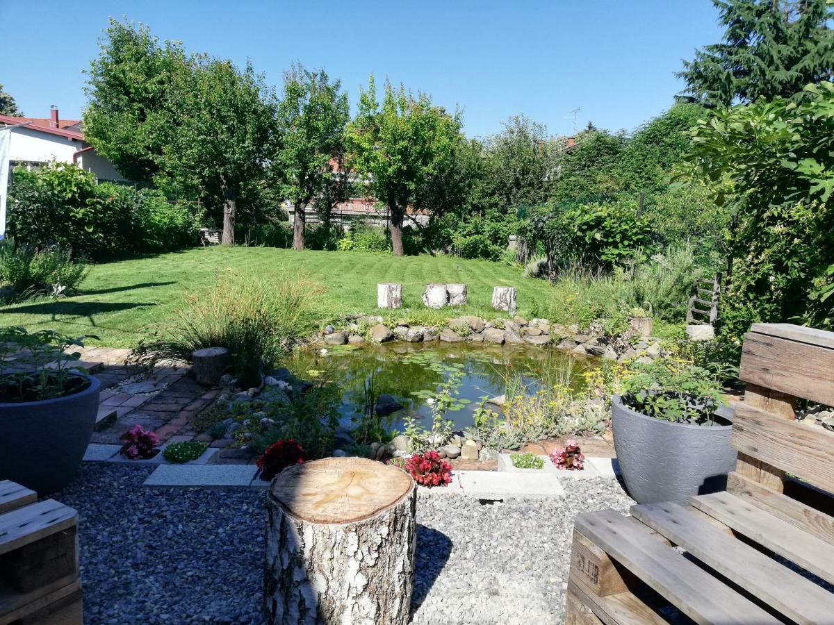 Apartament Korosteljev